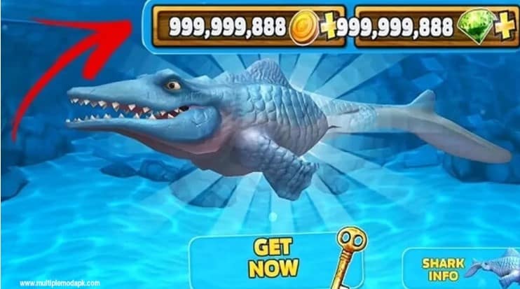 Hungry Shark Mod Apk