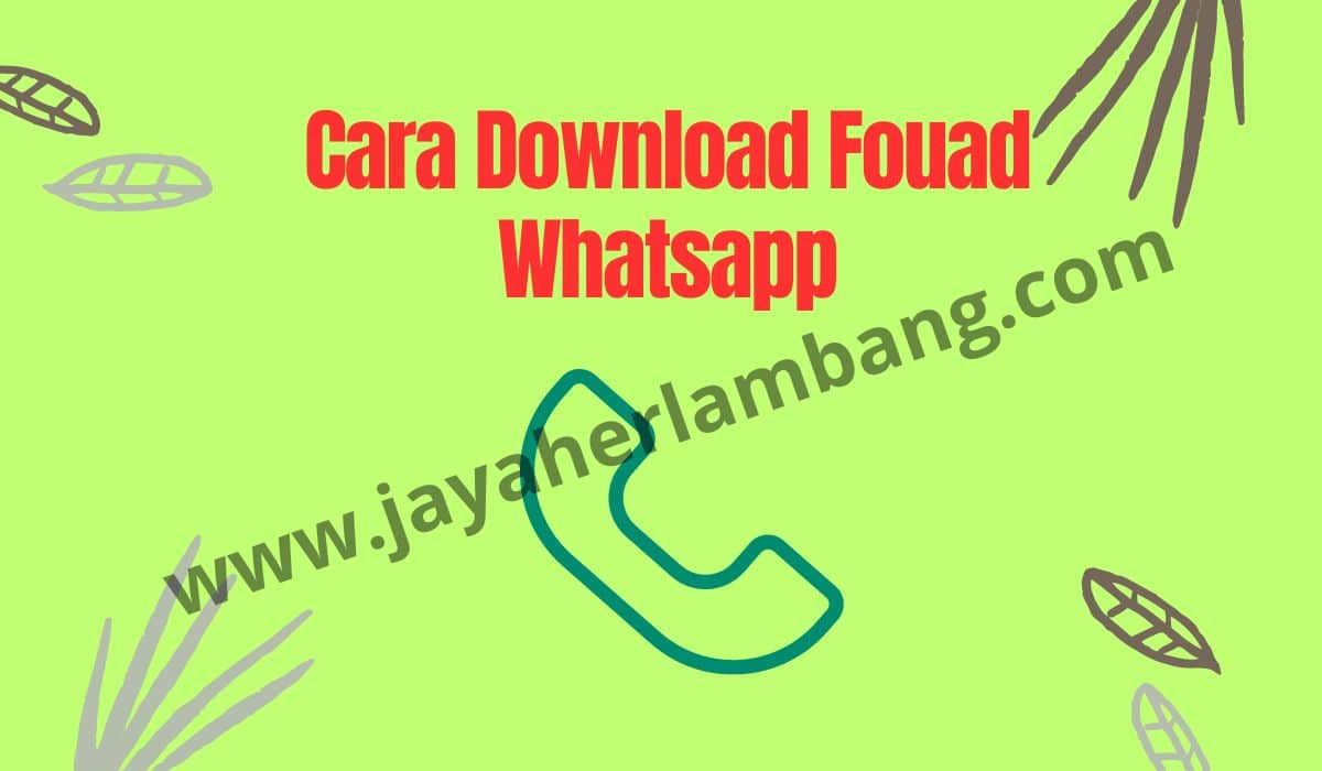 Fouad Whatsapp