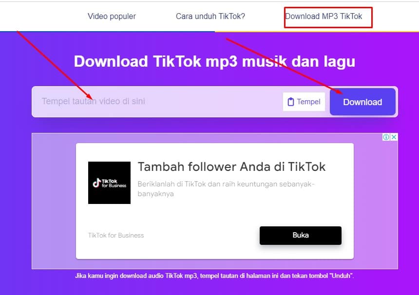 Download Sound TikTok