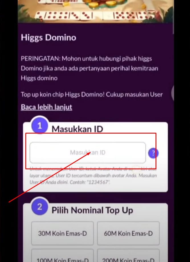 Cara Top Up Higgs Domino Pakai Dana