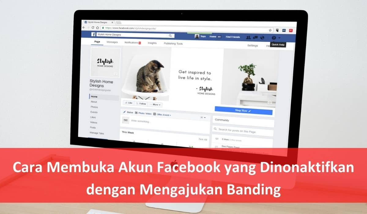 Cara Membuka Akun Facebook yang Dinonaktifkan 