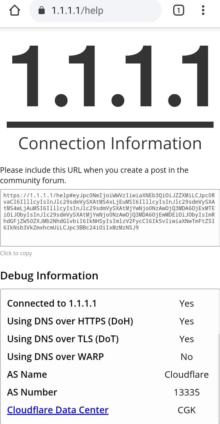 Hostname Dns Pribadi Android