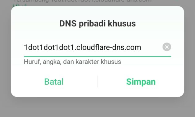 Hostname Dns Pribadi Android