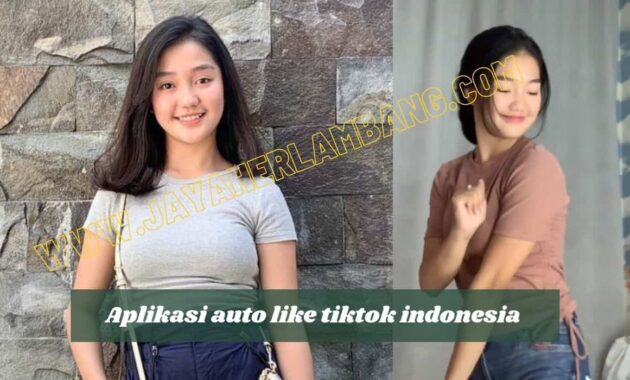 Auto Like Tiktok Indonesia